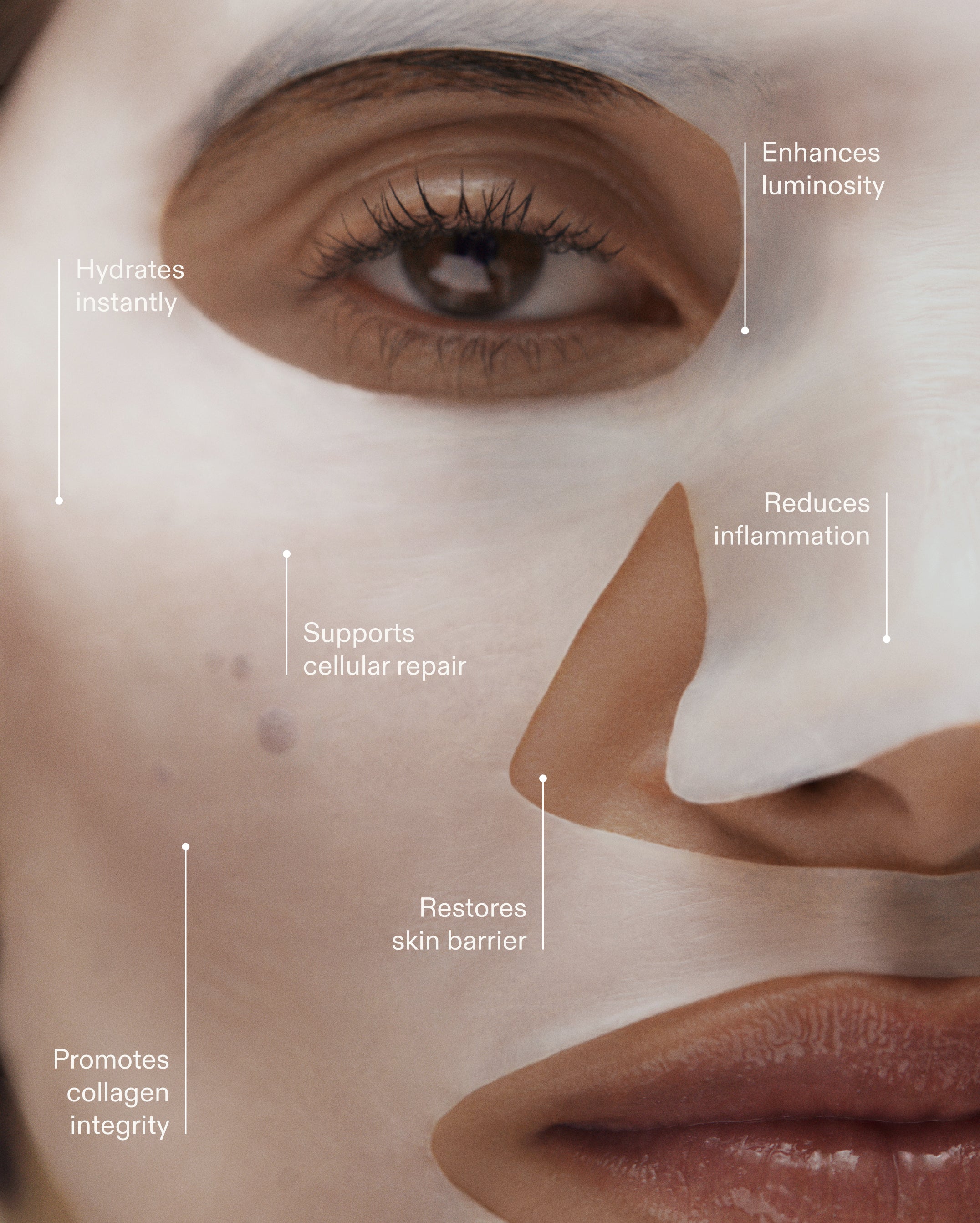 HYDRA-PLASMA VEIL | NEW Bio-Cellulose Mask – REOME